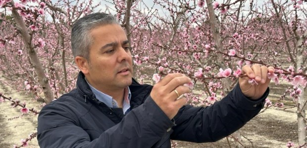 agricultura, seguros agrarios, Vélez