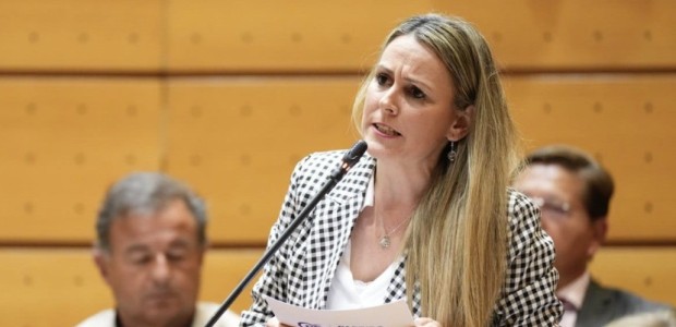 Marlaska, PP, Senado, Altiplano