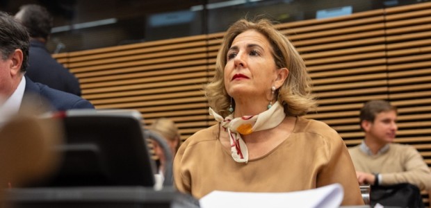 Borrego: “La Comisión de Justicia aprueba la Ley de Amnistía cuyo objetivo no es la convivencia, sino la conveniencia de Sánchez para seguir en la Moncloa”