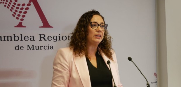 Román: “Mientras el PSOE enfanga con su estrategia de la confrontación, López Miras impulsa un Pacto por el Turismo histórico que recoge políticas demandadas por los ayuntamientos”