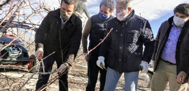 Visita Pablo Casado finca frutales Cieza