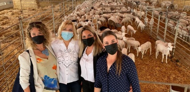 El PP urge al Gobierno de España la elaboración de un !˜Plan para la promoción de las Mujeres del Medio Rural!™