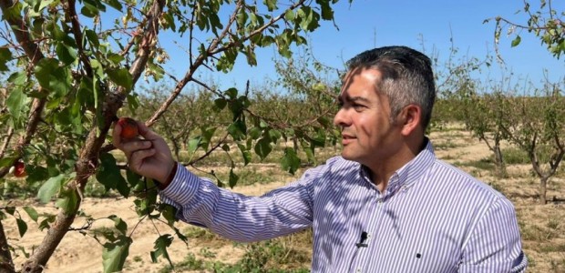 Cano: “Sánchez castiga continuamente al sector primario mientras López Miras sigue comprometido con ayudas a agricultores y ganaderos”